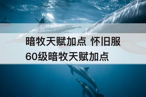 暗牧天赋加点 怀旧服60级暗牧天赋加点