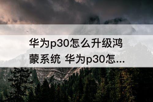 华为p30怎么升级鸿蒙系统 华为p30怎么升级鸿蒙系统2021年12月