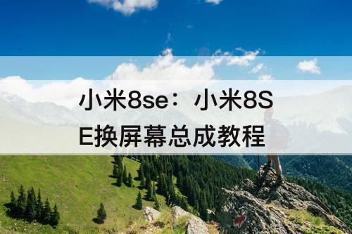 小米8se：小米8SE换屏幕总成教程