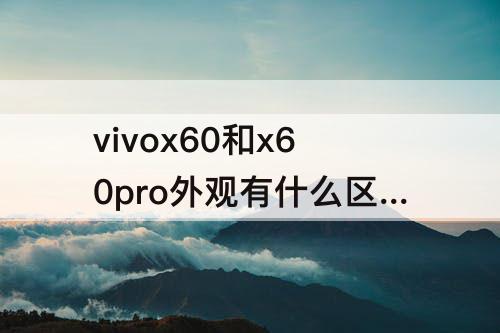 vivox60和x60pro外观有什么区别