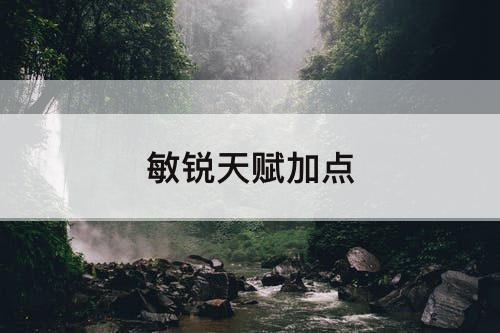 敏锐天赋加点