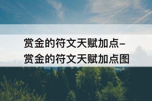 赏金的符文天赋加点-赏金的符文天赋加点图