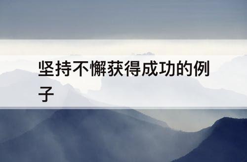 坚持不懈获得成功的例子