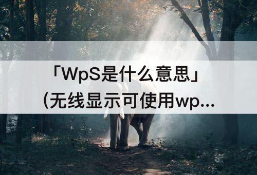 「WpS是什么意思」(无线显示可使用wps是什么意思)