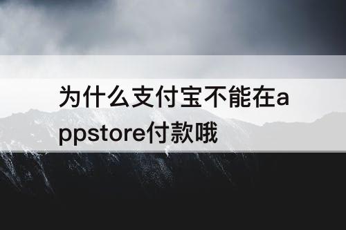 为什么支付宝不能在appstore付款哦