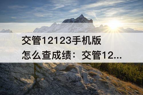 交管12123手机版怎么查成绩：交管12123手机版怎么查成绩还没有考完