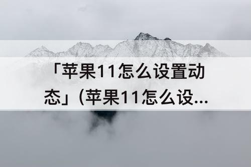 「苹果11怎么设置动态」(苹果11怎么设置动态壁纸为什么没有声音)