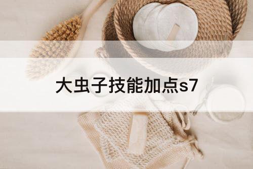 大虫子技能加点s7