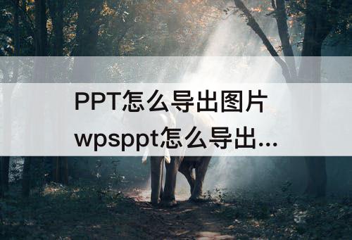 PPT怎么导出图片 wpsppt怎么导出图片