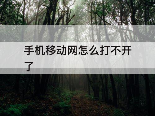 手机移动网怎么打不开了