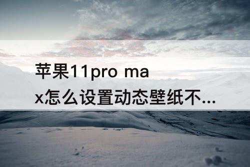 苹果11pro max怎么设置动态壁纸不用长按