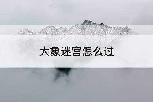 大象迷宫怎么过