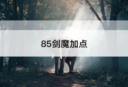 85剑魔加点