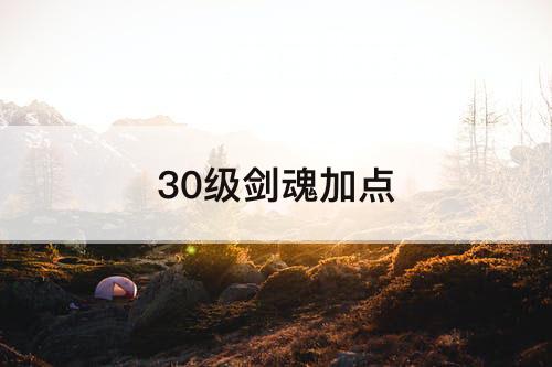 30级剑魂加点