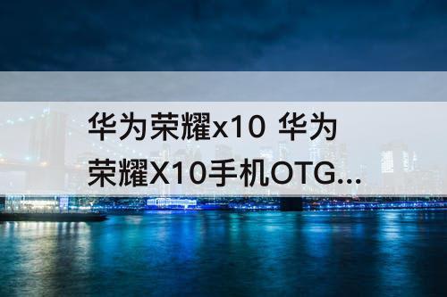 华为荣耀x10 华为荣耀X10手机OTG在哪