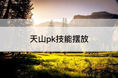 天山pk技能摆放