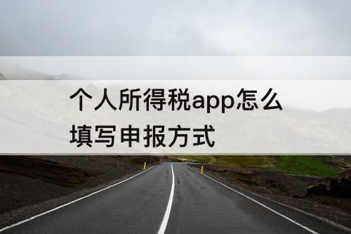 个人所得税app怎么填写申报方式