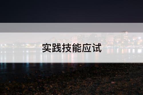 实践技能应试