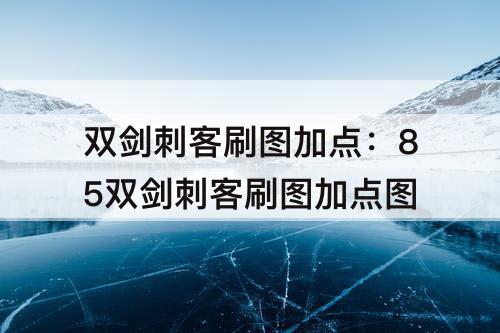 双剑刺客刷图加点：85双剑刺客刷图加点图