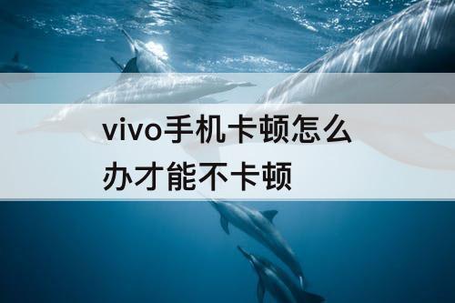 vivo手机卡顿怎么办才能不卡顿