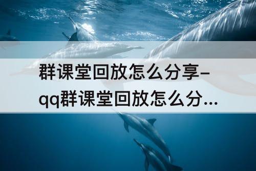 群课堂回放怎么分享-qq群课堂回放怎么分享给别人