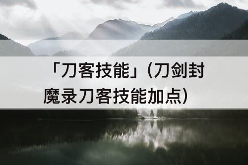 「刀客技能」(刀剑封魔录刀客技能加点)