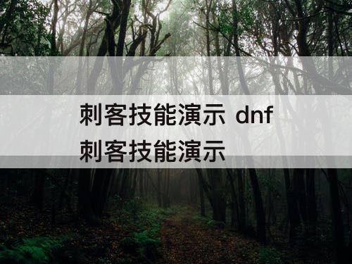 刺客技能演示 dnf刺客技能演示