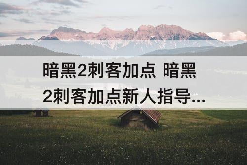 暗黑2刺客加点 暗黑2刺客加点新人指导 仨