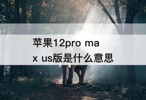 苹果12pro max us版是什么意思