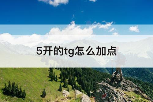 5开的tg怎么加点