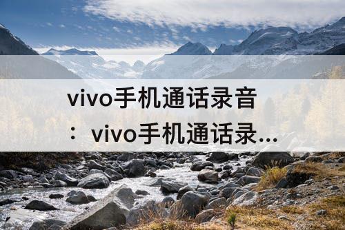 vivo手机通话录音：vivo手机通话录音录不上