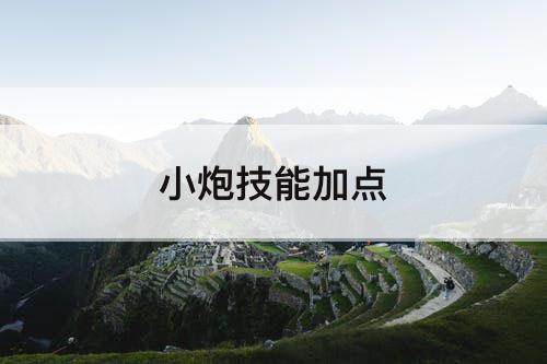 小炮技能加点