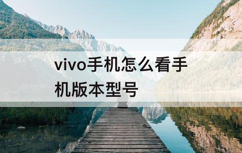 vivo手机怎么看手机版本型号