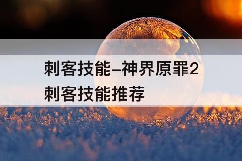 刺客技能-神界原罪2刺客技能推荐