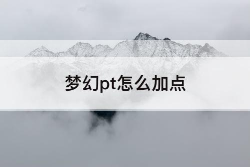 梦幻pt怎么加点