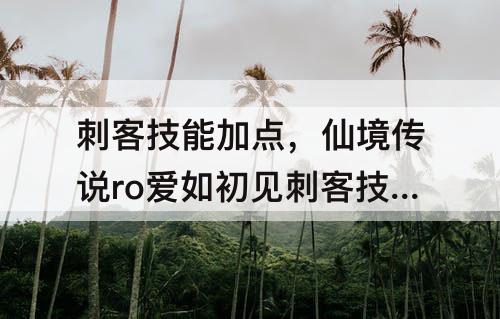 刺客技能加点，仙境传说ro爱如初见刺客技能加点