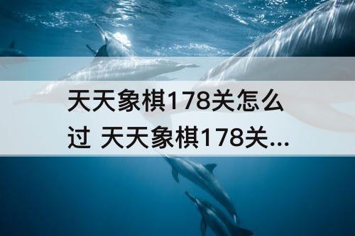 天天象棋178关怎么过 天天象棋178关怎么过动态图