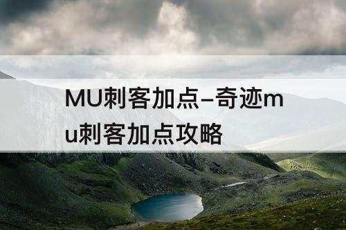 MU刺客加点-奇迹mu刺客加点攻略