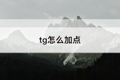 tg怎么加点