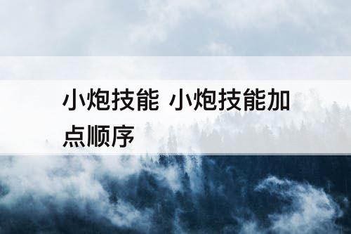 小炮技能 小炮技能加点顺序