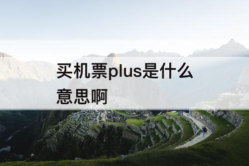 买机票plus是什么意思啊