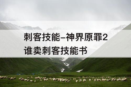 刺客技能-神界原罪2谁卖刺客技能书