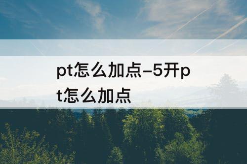 pt怎么加点-5开pt怎么加点