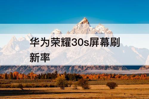 华为荣耀30s屏幕刷新率