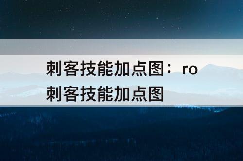 刺客技能加点图：ro刺客技能加点图
