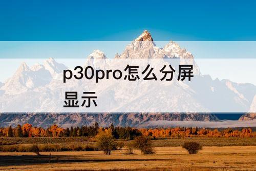 p30pro怎么分屏显示