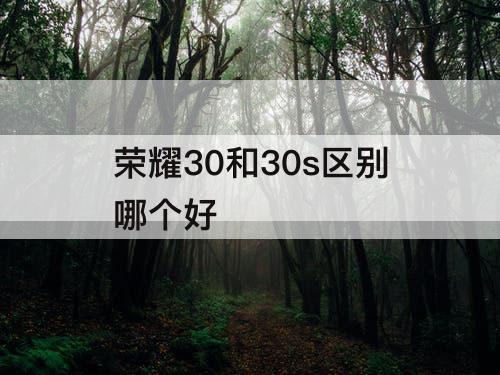 荣耀30和30s区别哪个好