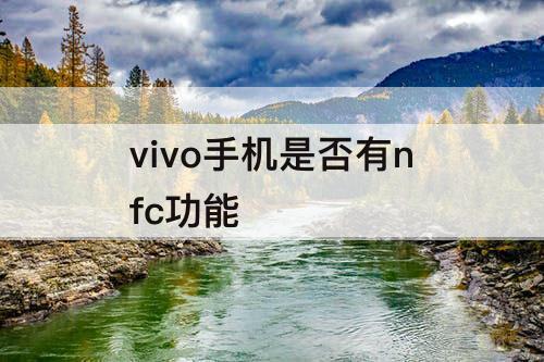 vivo手机是否有nfc功能