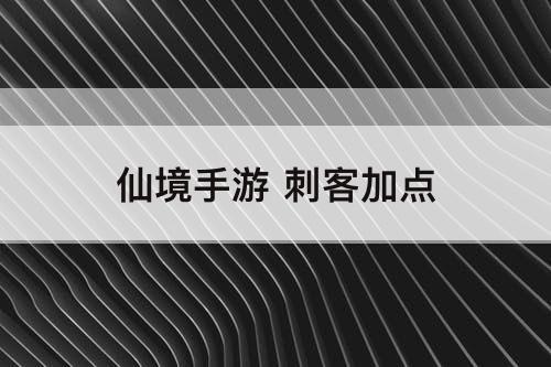 仙境手游 刺客加点