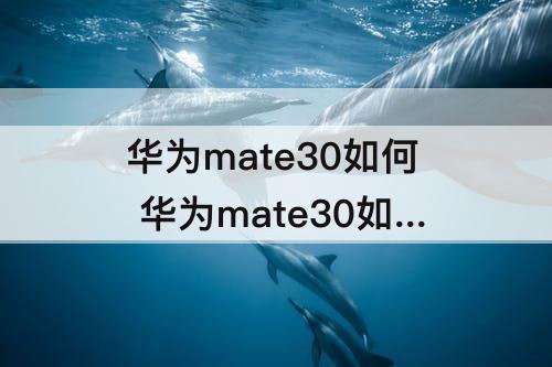 华为mate30如何 华为mate30如何分屏多任务